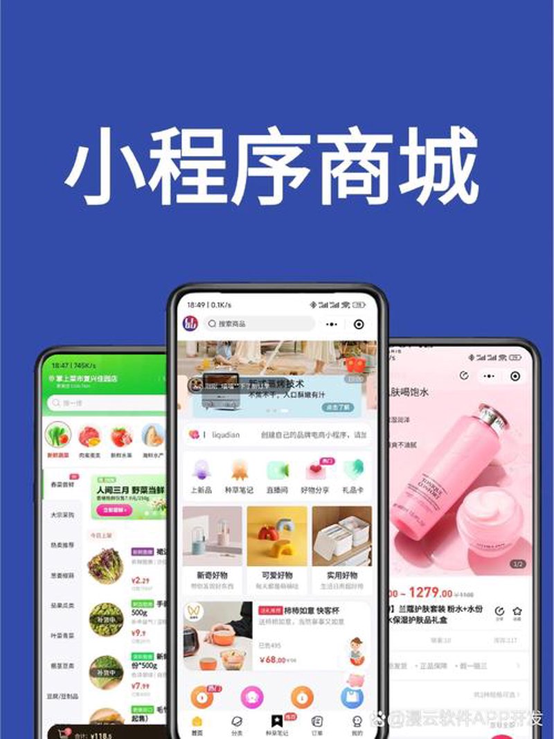 大连软件开发：把握时代脉搏，助力企业腾飞
